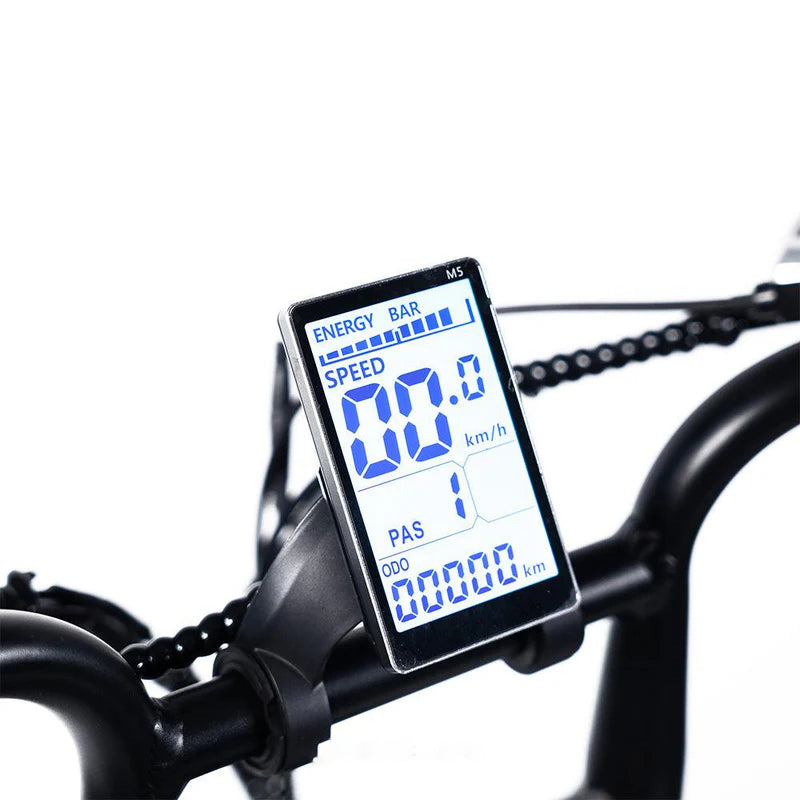 Kick&Move V8.3 - Family Fatbike - Noir (tous les accessoires inclus)